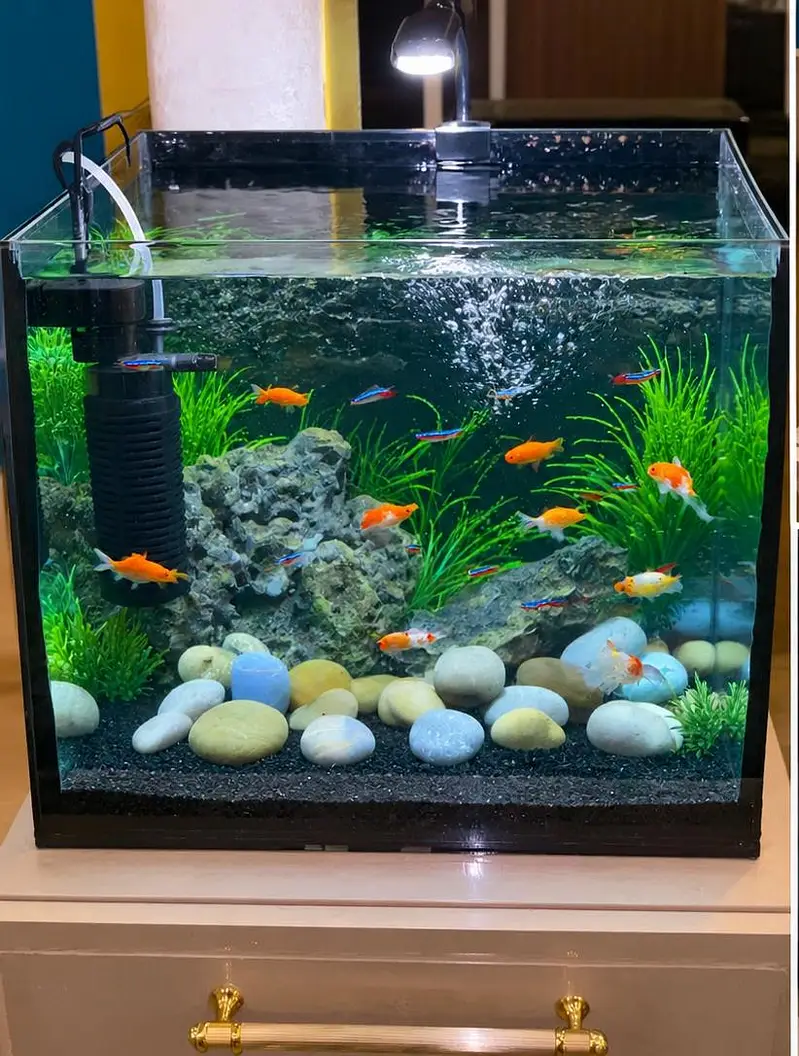 3D 08MM heavy glass aquarium — photo 2