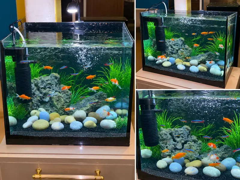 3D 08MM heavy glass aquarium — photo 3