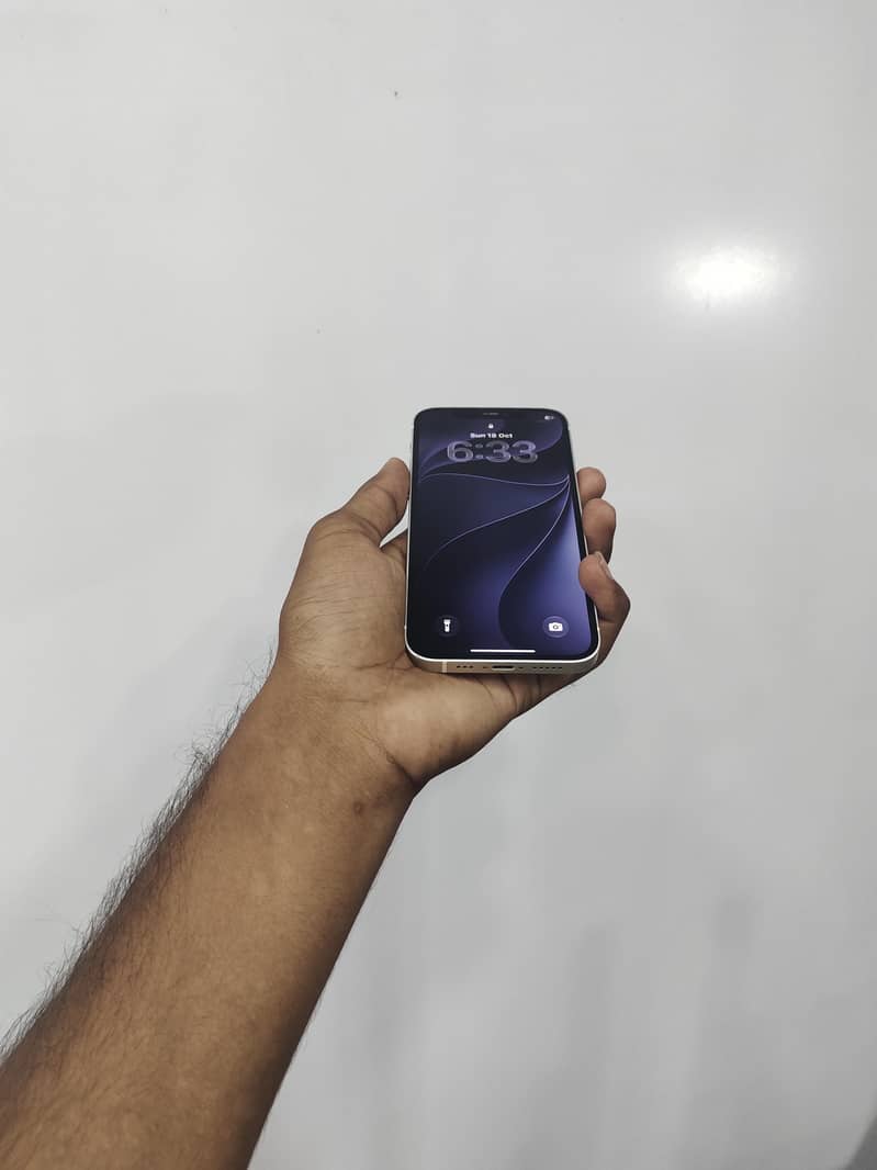 Apple iPhone 12 1