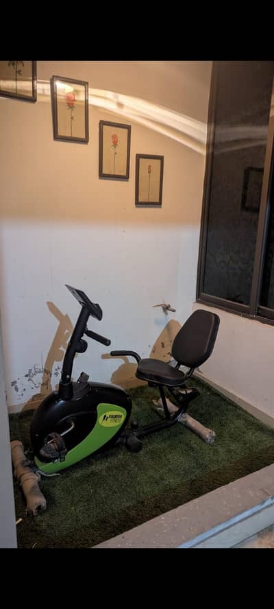 exercise cycle