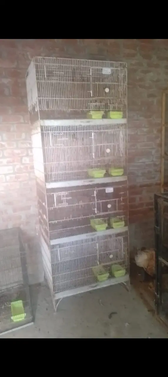 Hens Cages Murgi Cages Bird Cages — photo 2