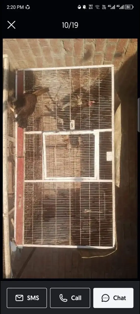 Hens Cages Murgi Cages Bird Cages — photo 4
