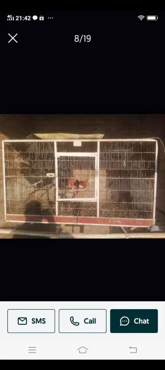 Hens Cages Murgi Cages Bird Cages — photo 6