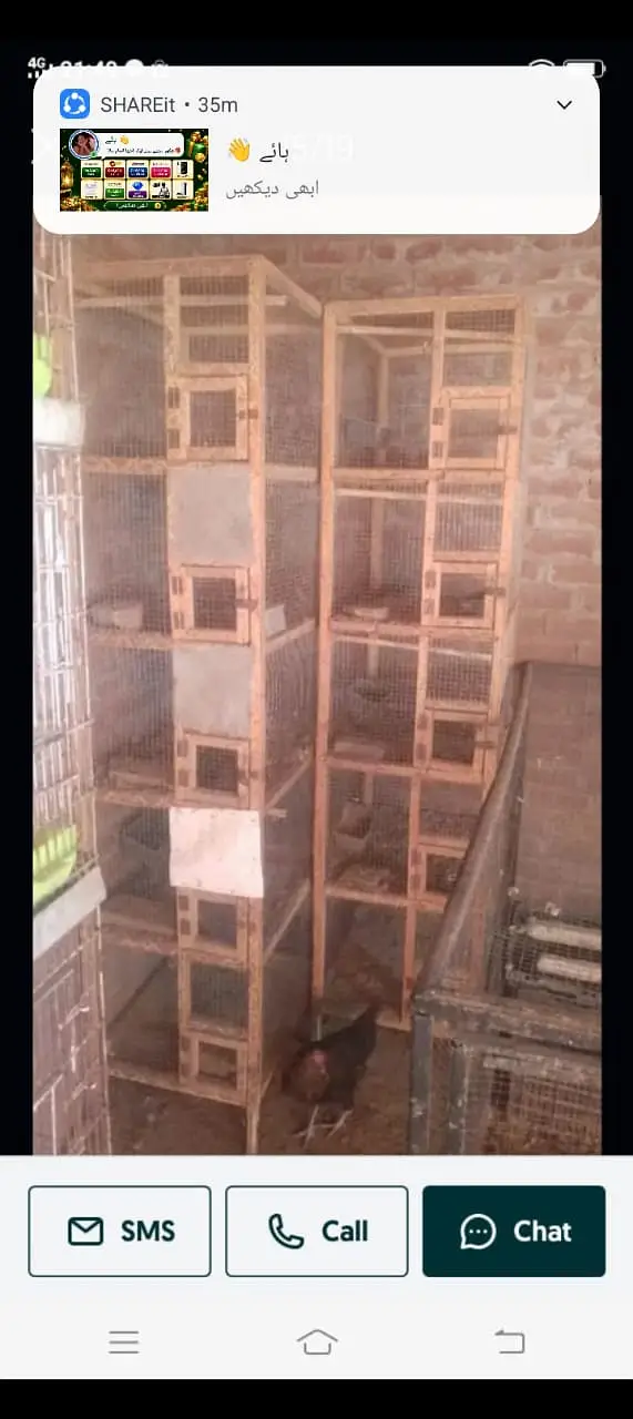 Hens Cages Murgi Cages Bird Cages — photo 7