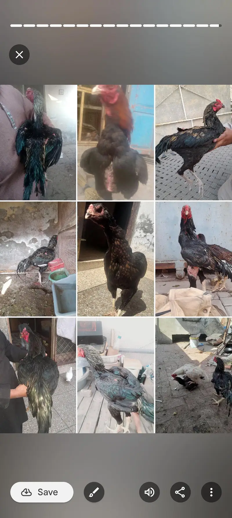 black Samo phata adalt h — photo 12