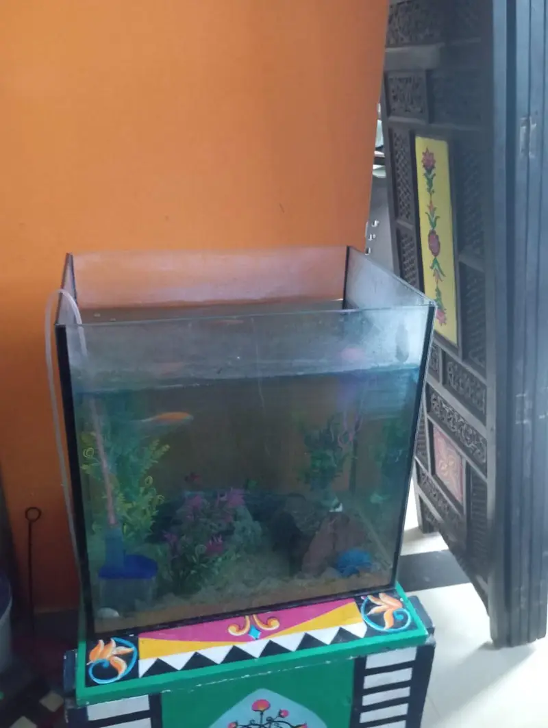 aquarium — photo 2