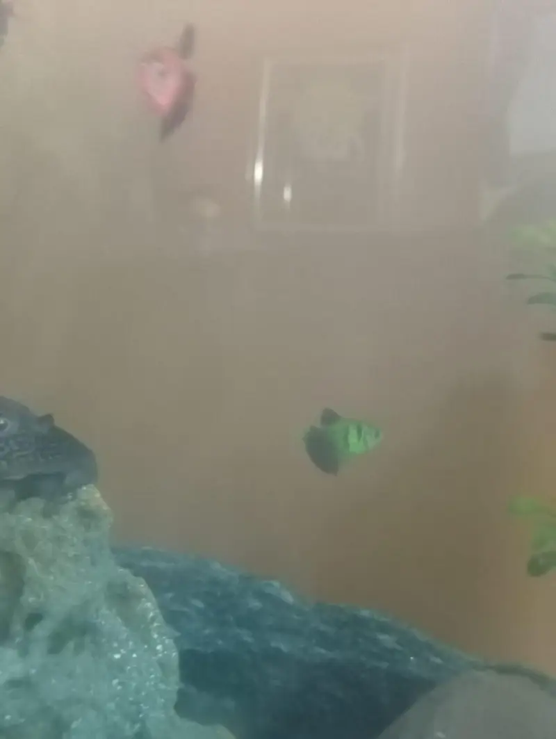 aquarium — photo 4
