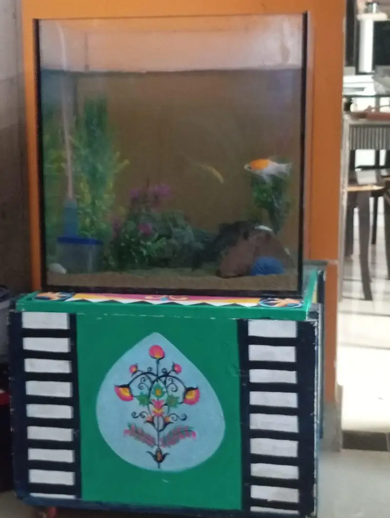 aquarium — photo 6