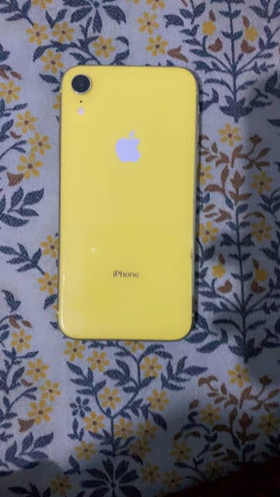 Apple iPhone XR water pack