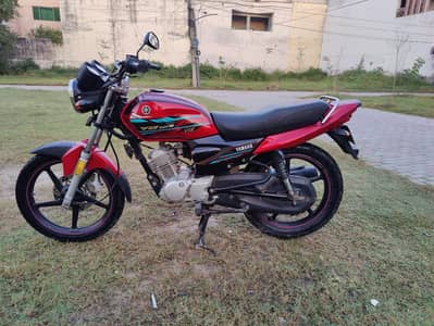 Yamaha YBZ-DX 2021 Model Lush Condition