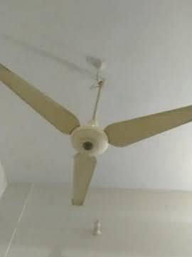 CEILING FANS for sale  on Urgent Base