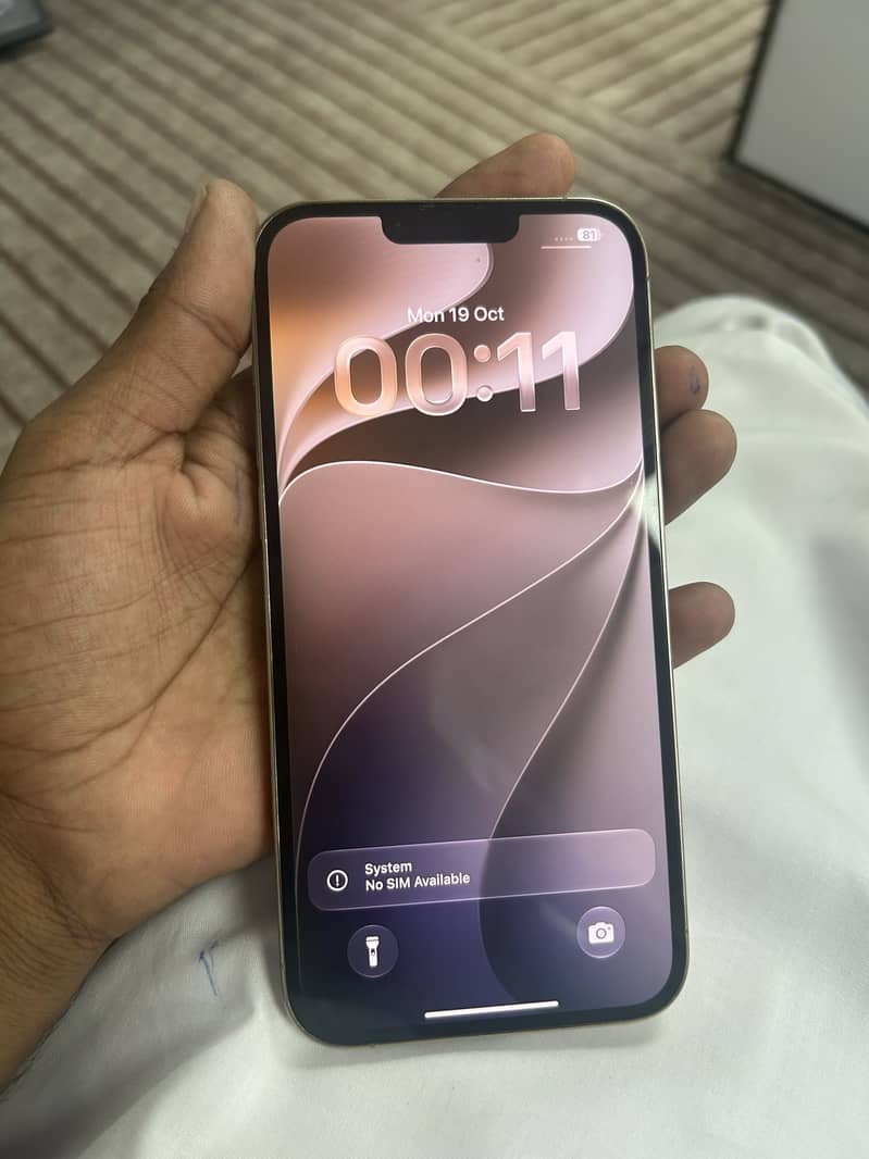 Apple iPhone 13 Pro Max 1