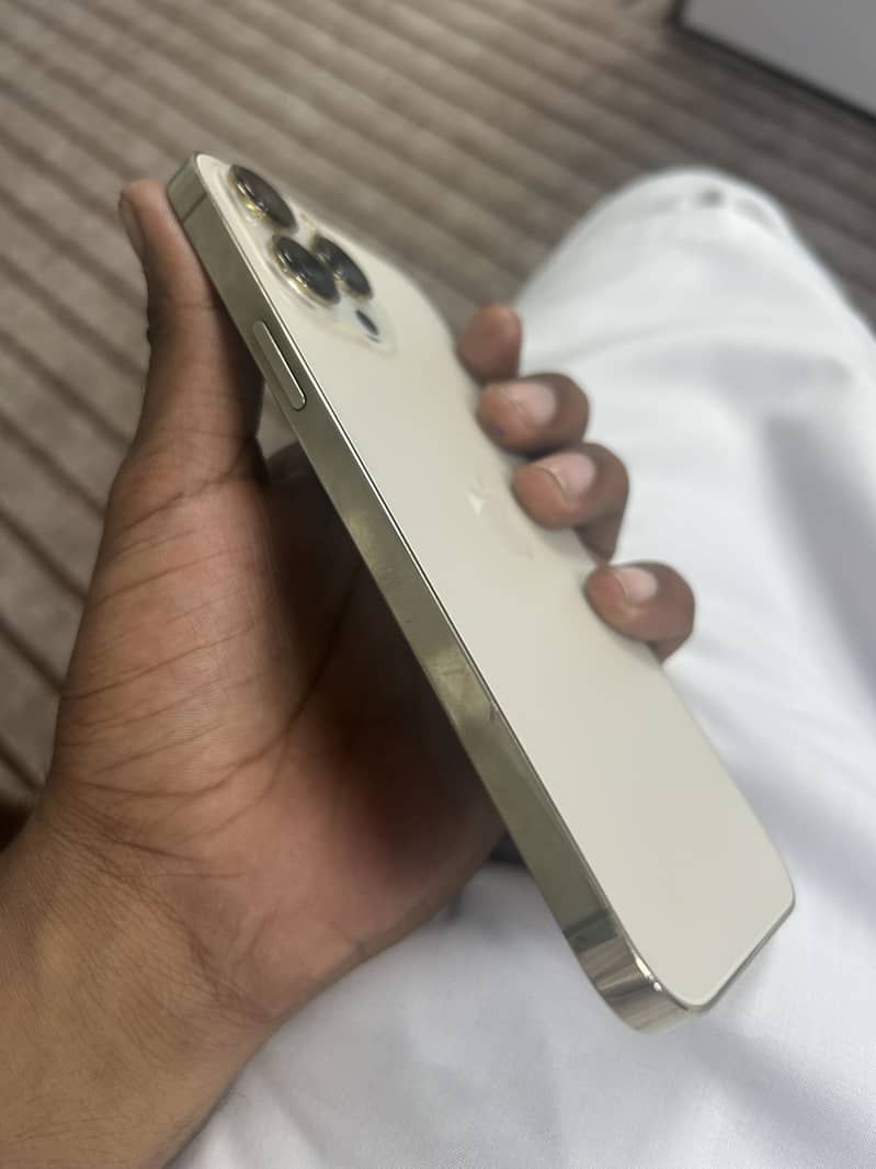 Apple iPhone 13 Pro Max 3