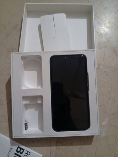rakuten big s