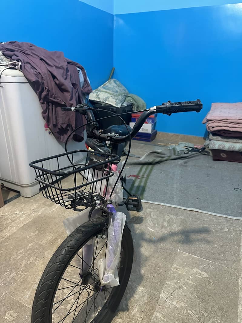 Bicycle 1