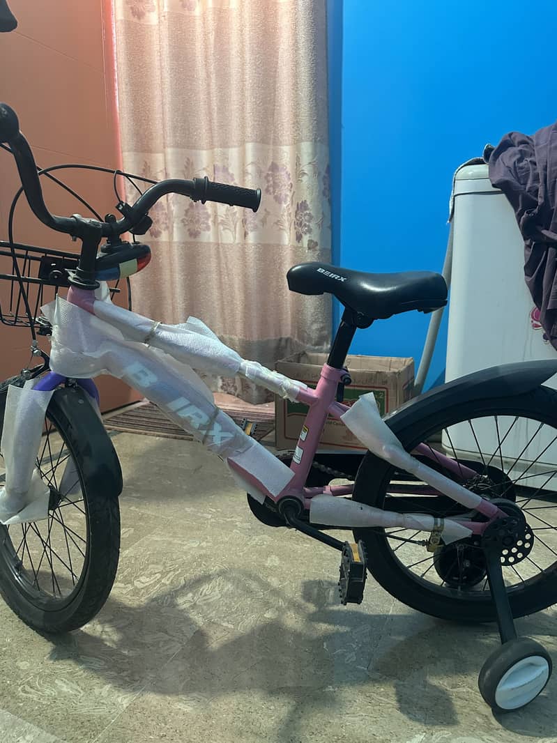 Bicycle 2
