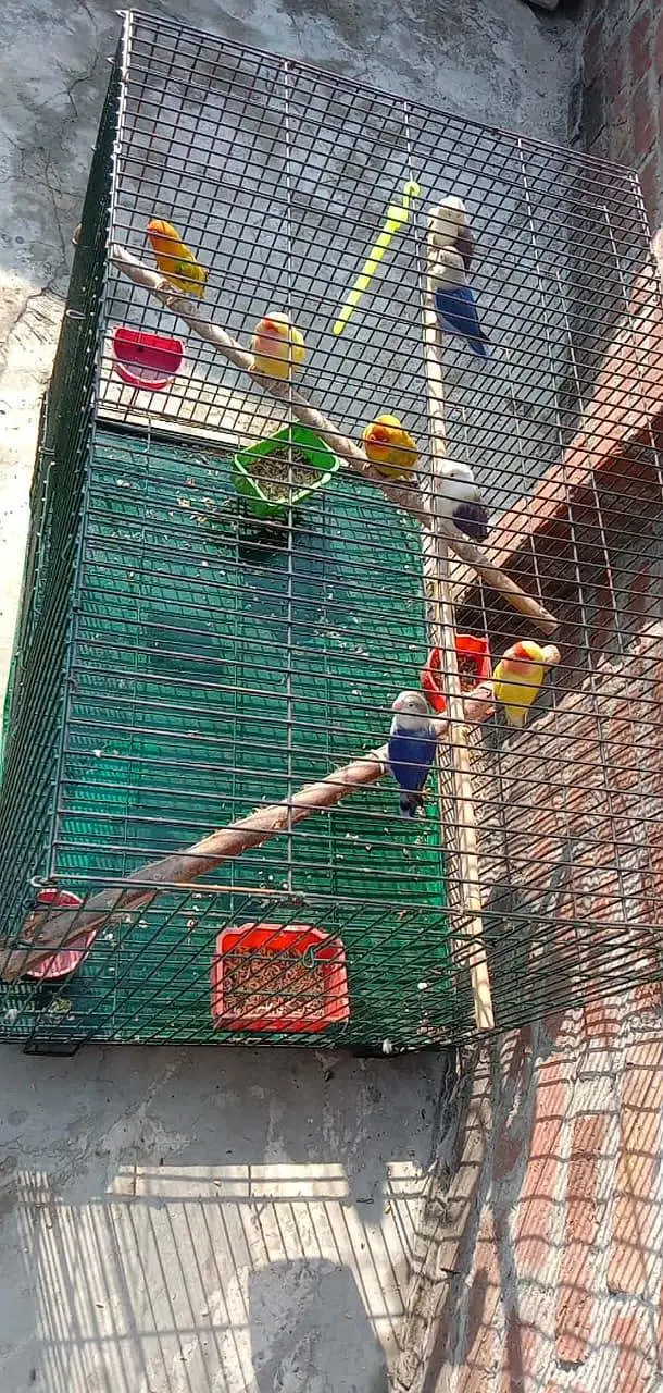 3*1.5*1.5 folding cage for sale . contact number 03330031118 — photo 2