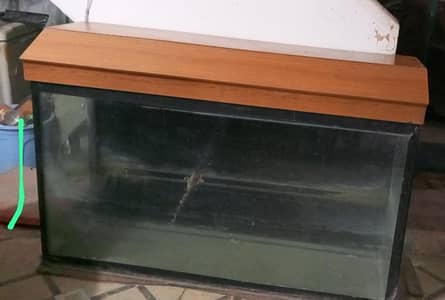 fish Aquarium urgent sell