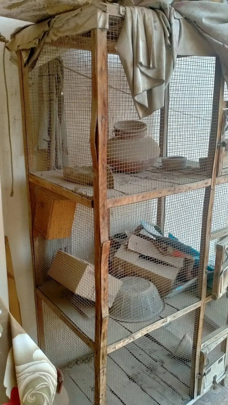 wooden cage — photo 2