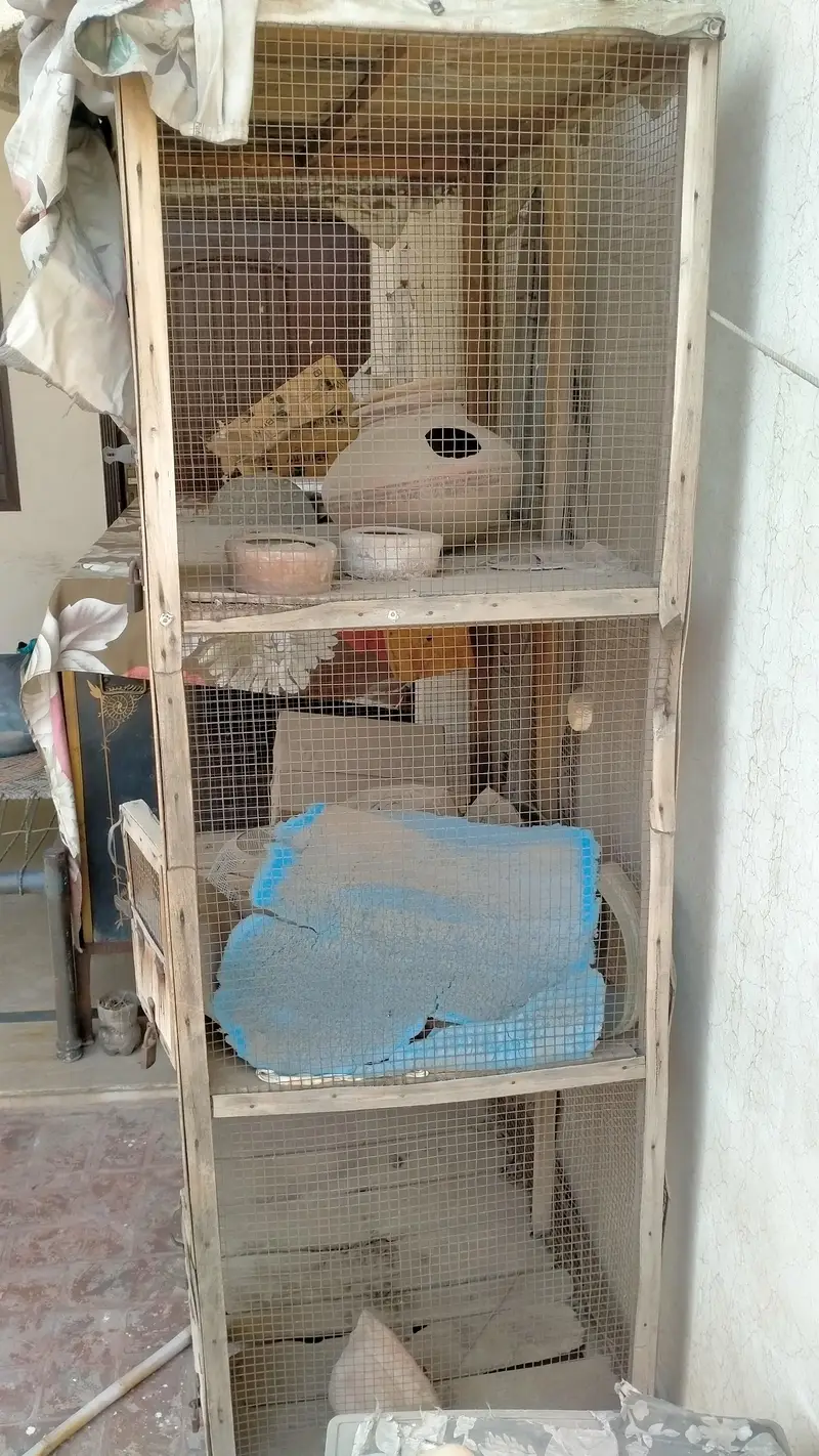 wooden cage — photo 3