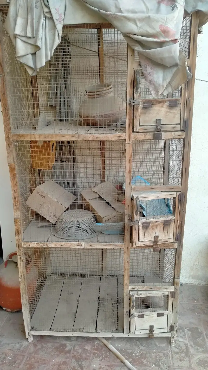 wooden cage — photo 4