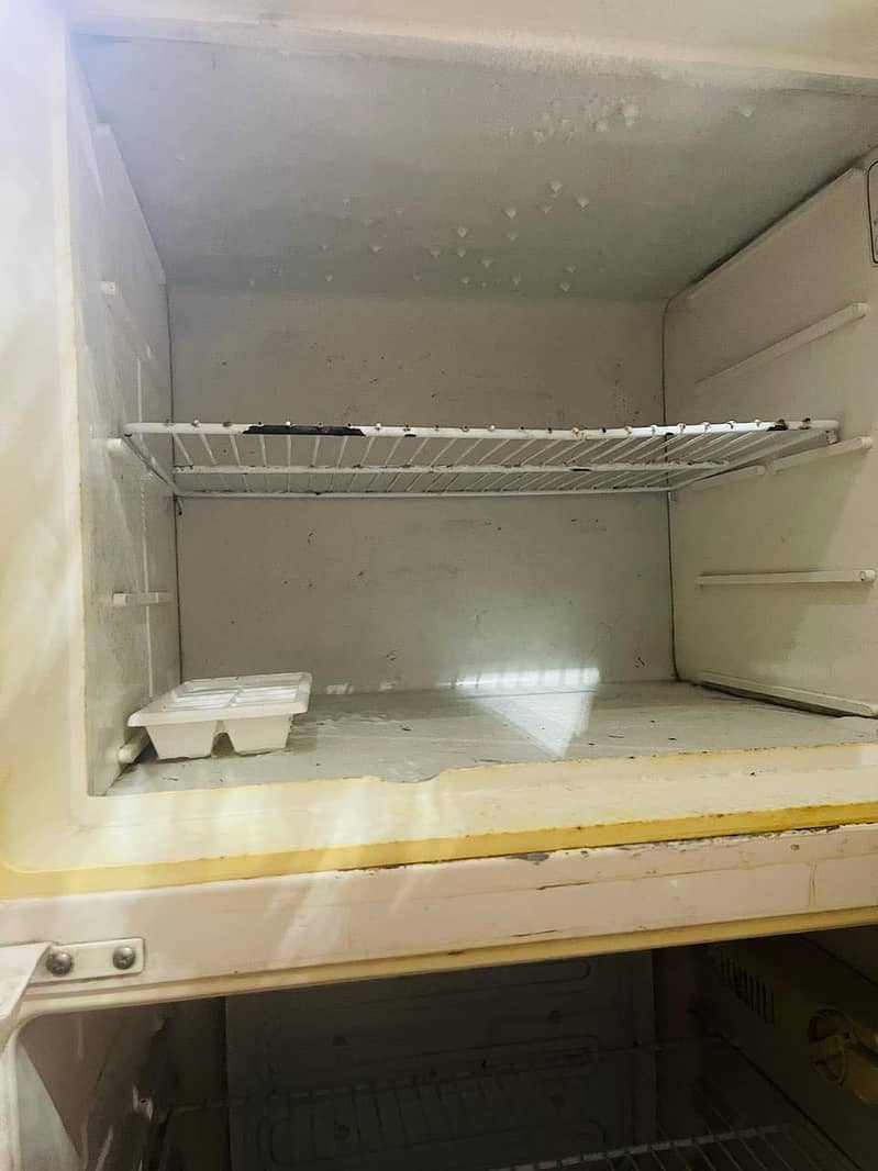 Fridge 1