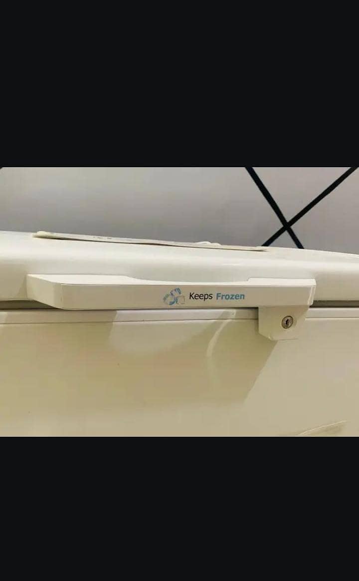 dee freezer 3