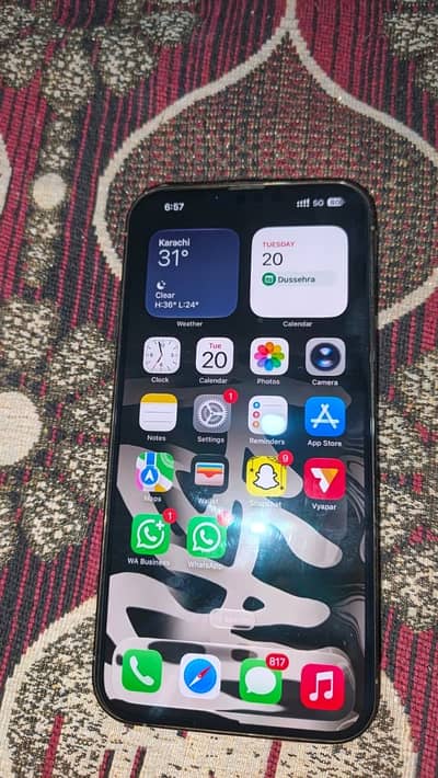 Apple iPhone 13 Pro Max