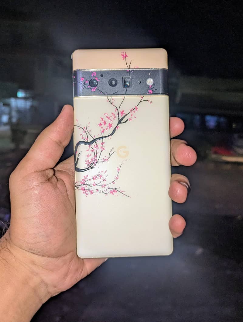 Google Pixel 6 Pro 0