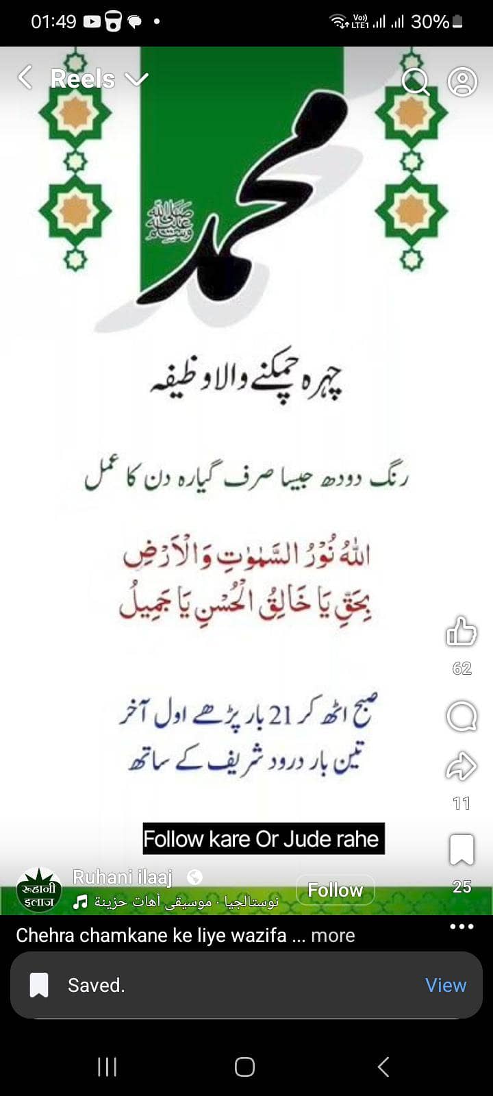 rabbirs 2