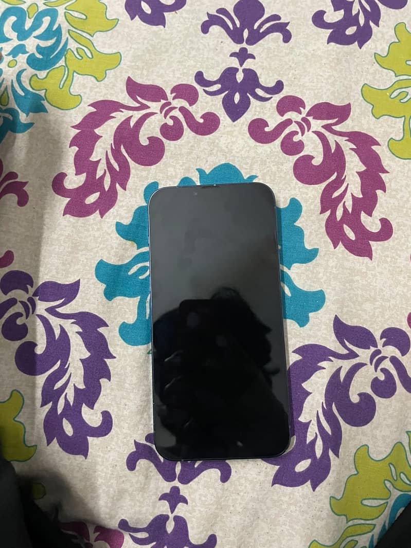 Apple iPhone 13 Pro Max 1