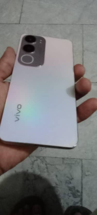 vivo y 19 s