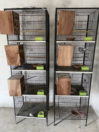 Birds cages
