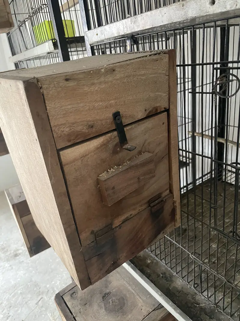 Birds cages — photo 3