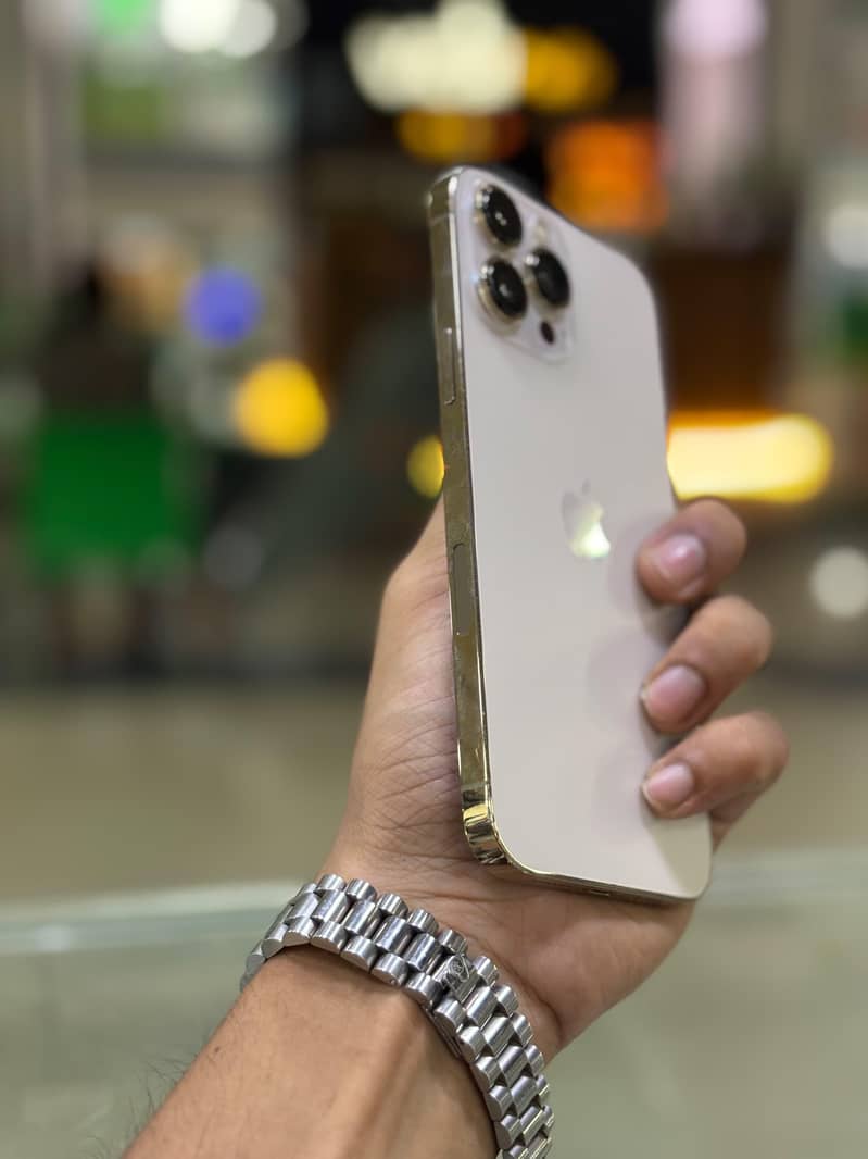 Apple iPhone 13 Pro Max 1