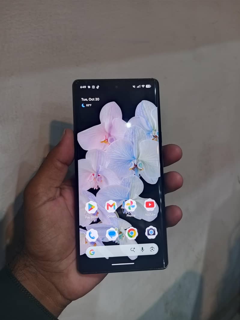 Google Pixel 6 Pro 2