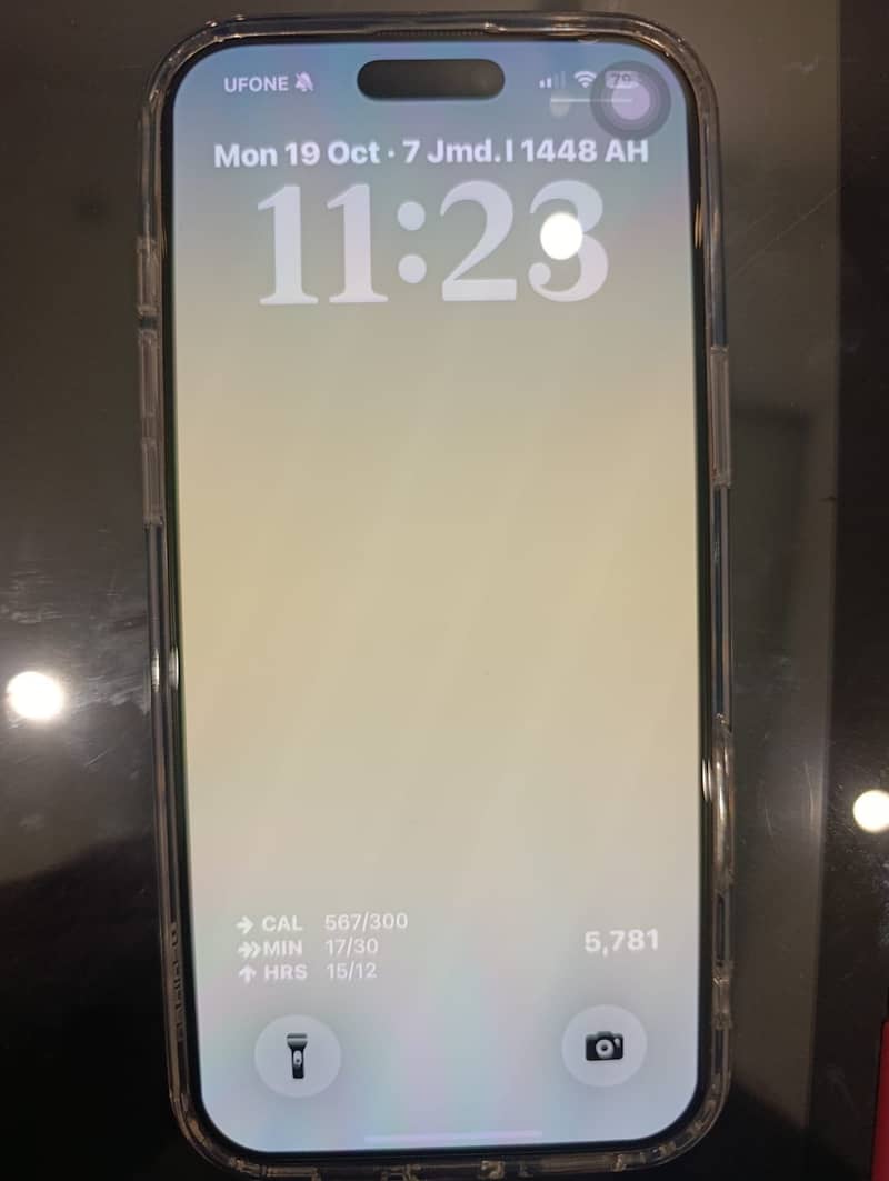 Apple iPhone 16 Pro Max 1