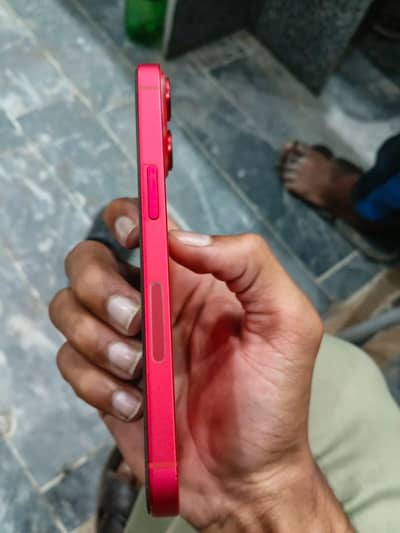 iPhone 14