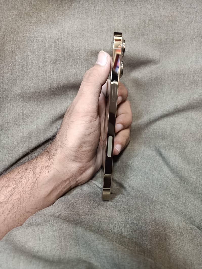Apple iPhone 13 Pro Max 1