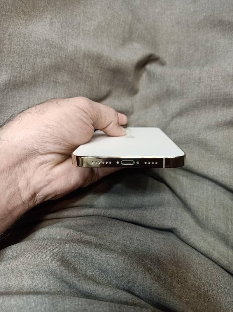 Apple iPhone 13 Pro Max 4