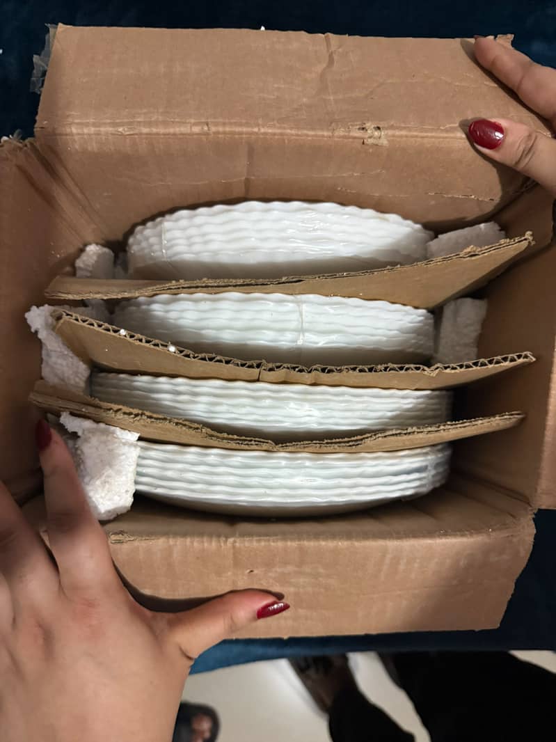 Endure OG Shell plain dinner Set 2