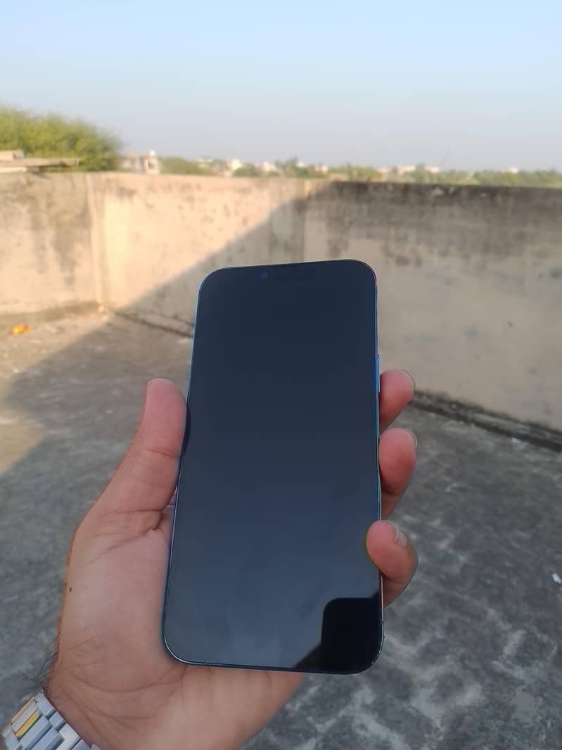 Apple iPhone 13 Pro Max 1