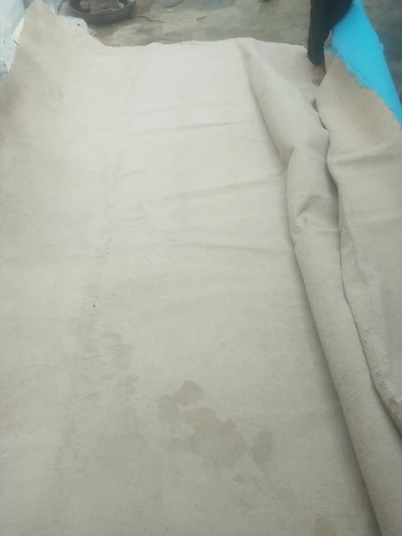 Carpet 2