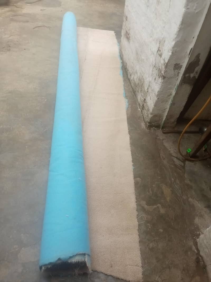 Carpet 3