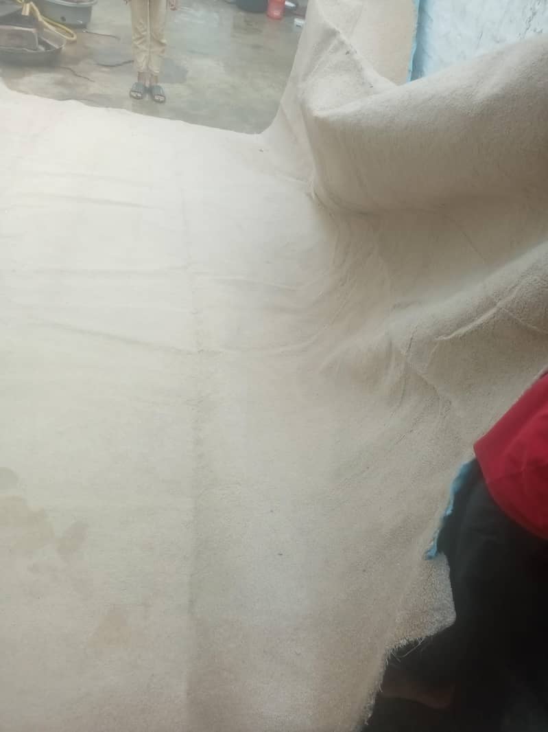 Carpet 4