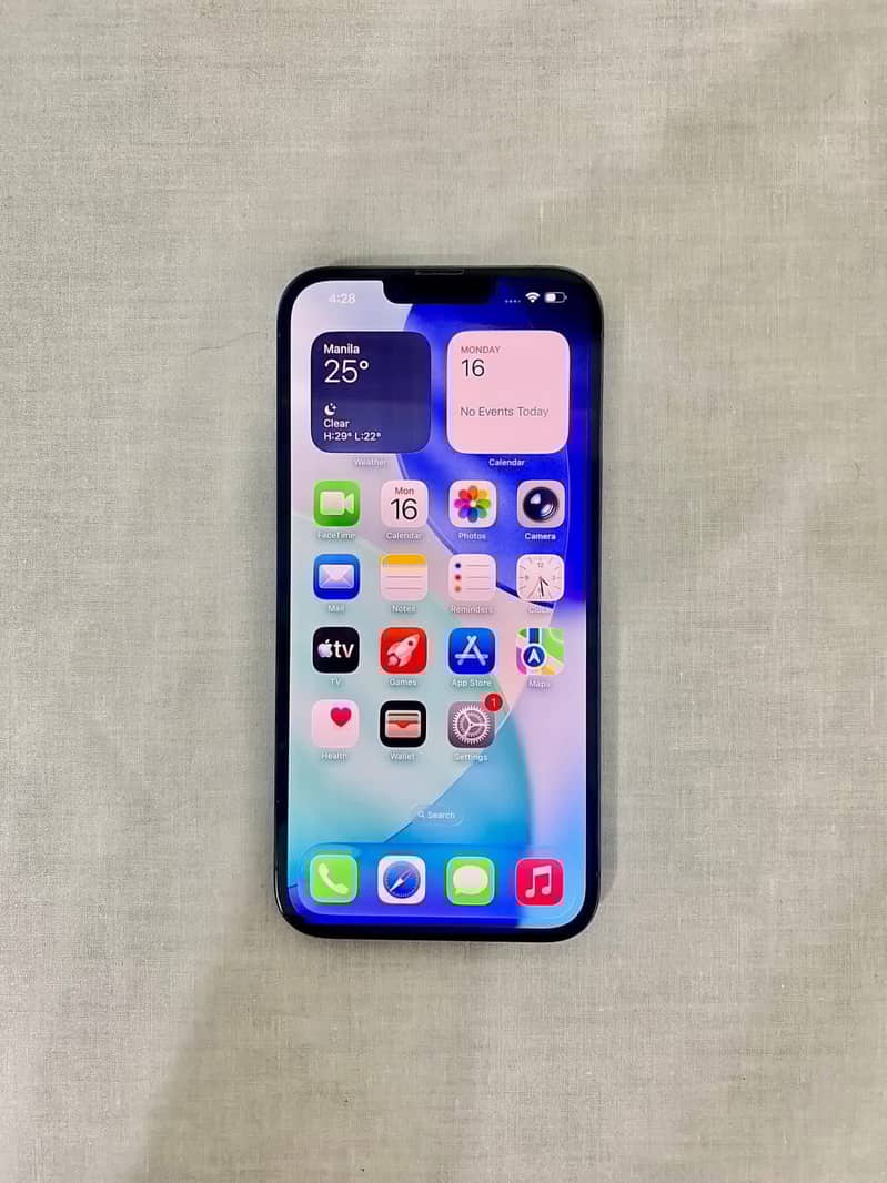 Apple iPhone 13 Pro Max 1