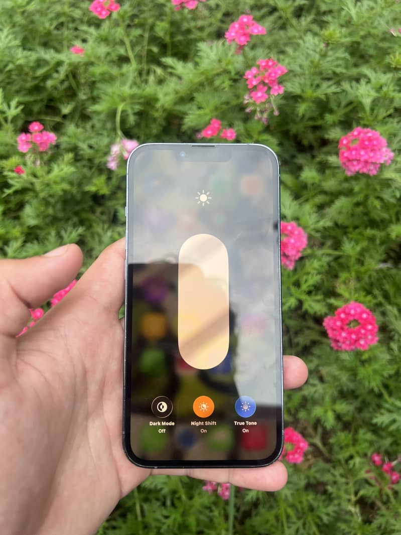 Apple iPhone 13 Pro 3