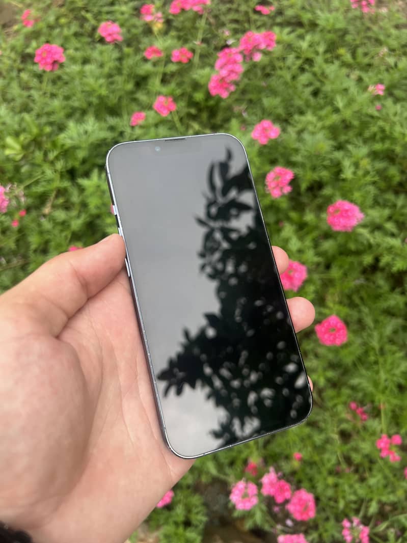 Apple iPhone 13 Pro 8