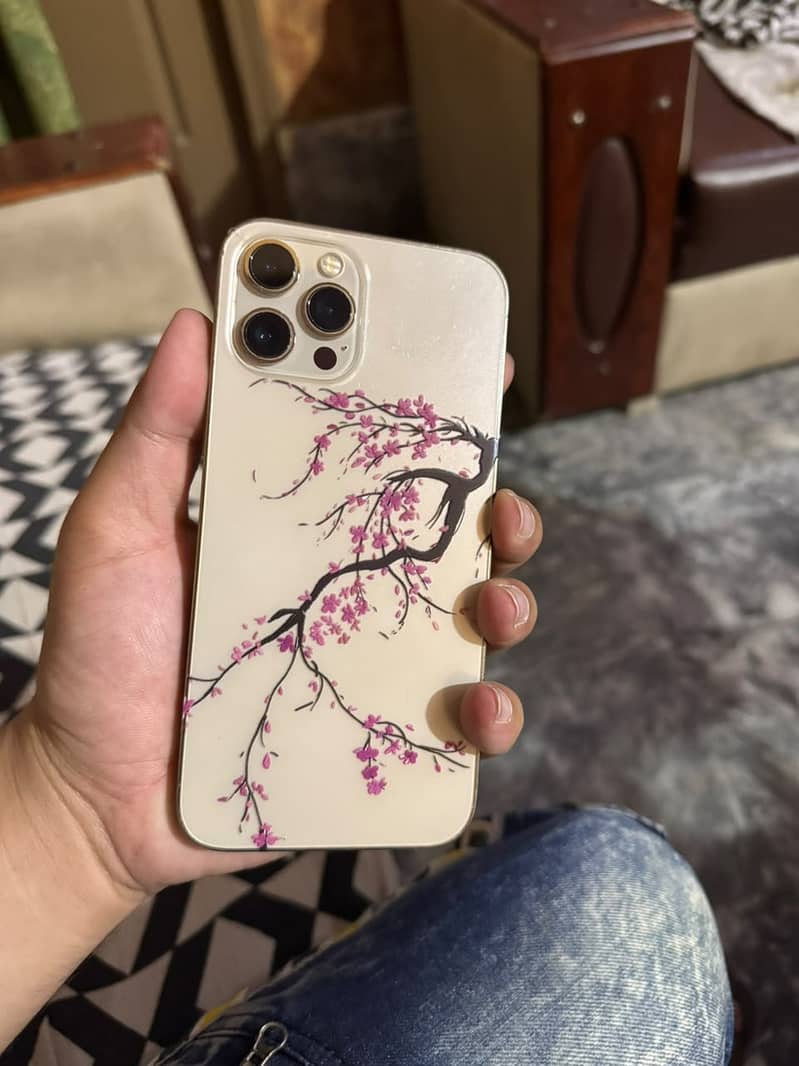 Apple iPhone 12 Pro Max 0