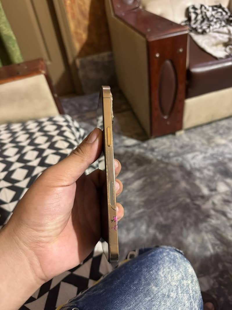 Apple iPhone 12 Pro Max 4